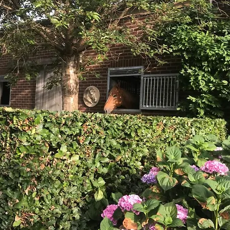 Het Welthof Bed & Breakfast Bree